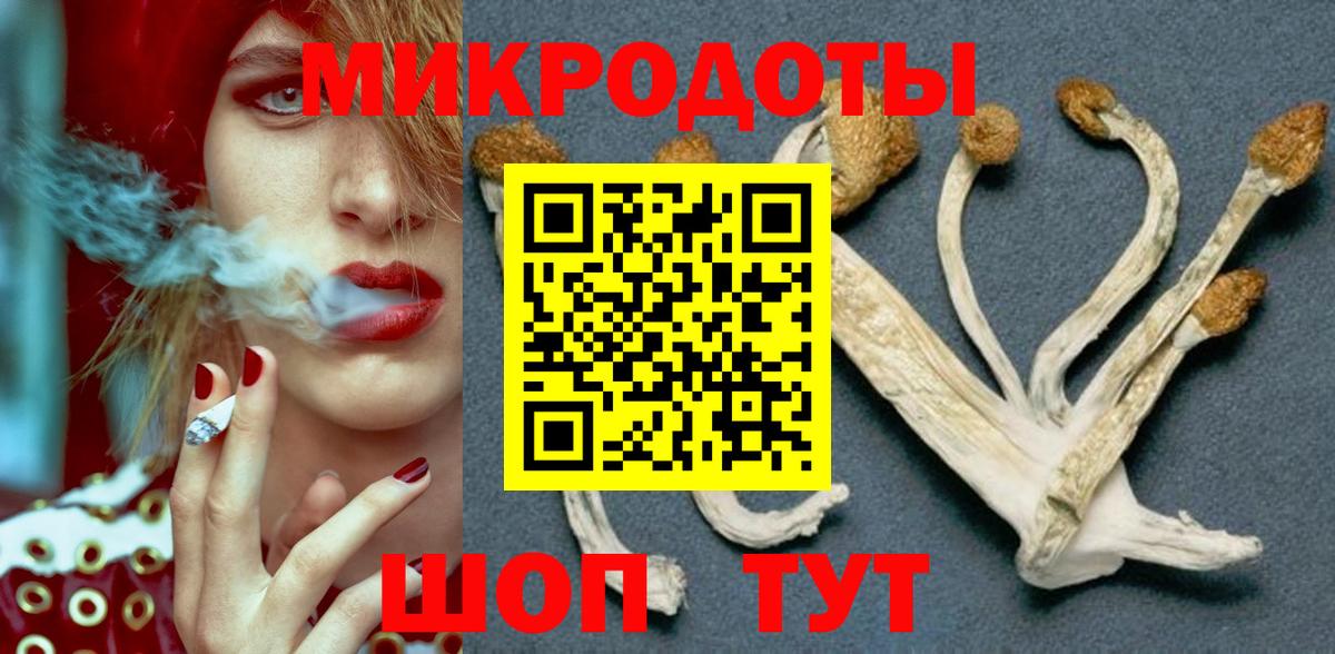 Псилоцибиновые грибы мухоморы Урус-Мартан