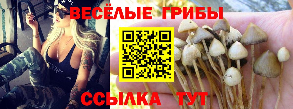 Галлюциногенные грибы MAGIC MUSHROOMS  Вход с VPN  купить наркотики сайты  Псилоцибиновые грибы мухоморы  Урус-Мартан 